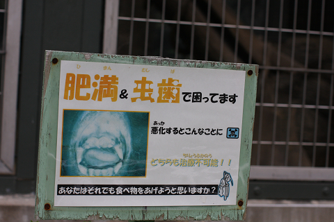 f:id:MAREOSIEV:20091025223053j:image