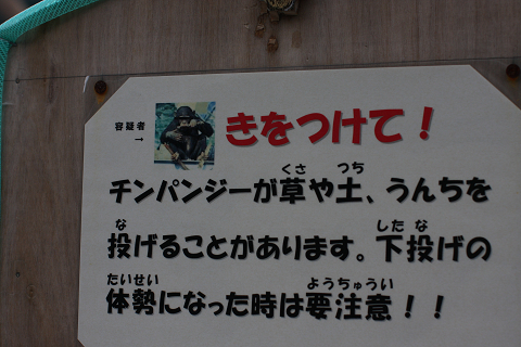 f:id:MAREOSIEV:20091025223057j:image