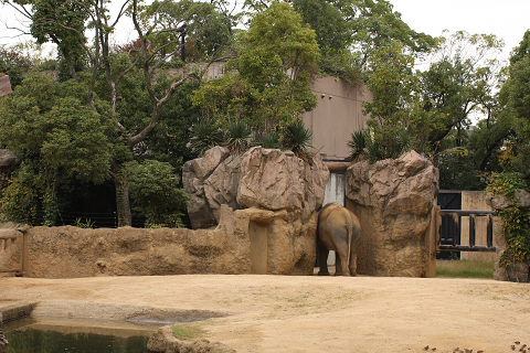 f:id:MAREOSIEV:20091025223103j:image