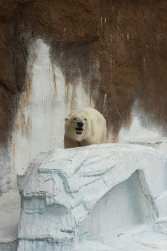 f:id:MAREOSIEV:20091025223110j:image