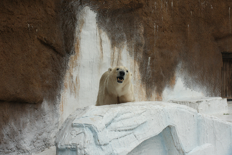f:id:MAREOSIEV:20091025223111j:image