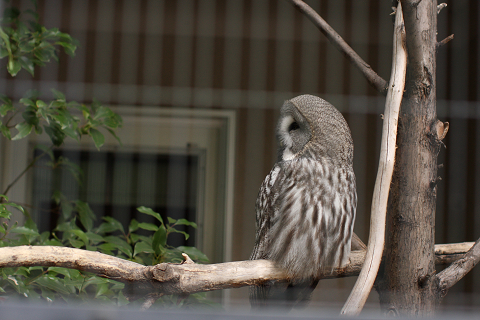 f:id:MAREOSIEV:20091025223113j:image