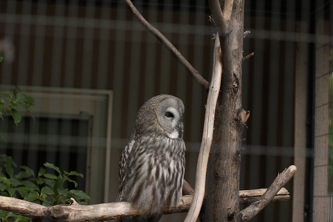 f:id:MAREOSIEV:20091025223115j:image