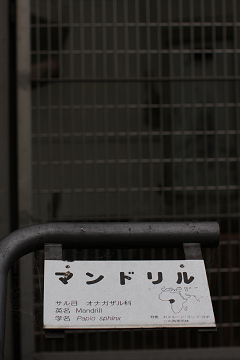 f:id:MAREOSIEV:20091025223134j:image
