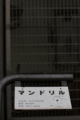 20091025223134