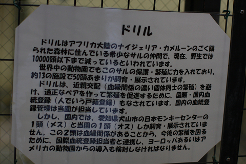 f:id:MAREOSIEV:20091025223139j:image