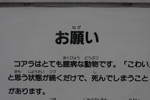 f:id:MAREOSIEV:20091025223141j:image