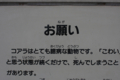 20091025223141