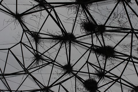 f:id:MAREOSIEV:20091025223143j:image