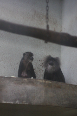 f:id:MAREOSIEV:20091025223158j:image