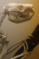 20091025223201