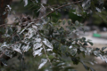 20091104223823