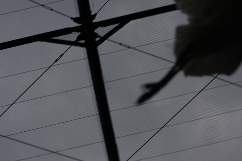 f:id:MAREOSIEV:20091104223824j:image