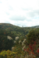 20091118224544