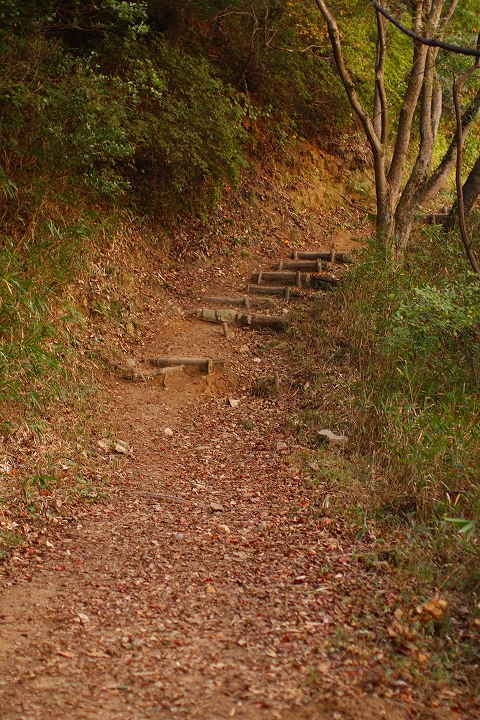 f:id:MAREOSIEV:20091130000107j:image f:id:MAREOSIEV:20091130000107j:image