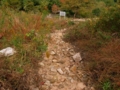 20091130000337