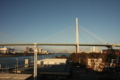 20100206164946
