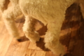 20100206170552