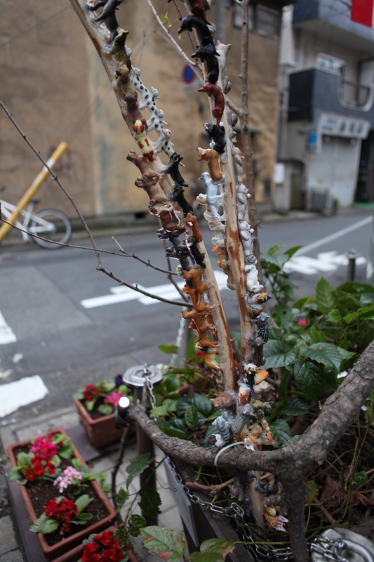 六本木アートナイト　藤浩志　路上　六本木　現代アート　犬　おもち