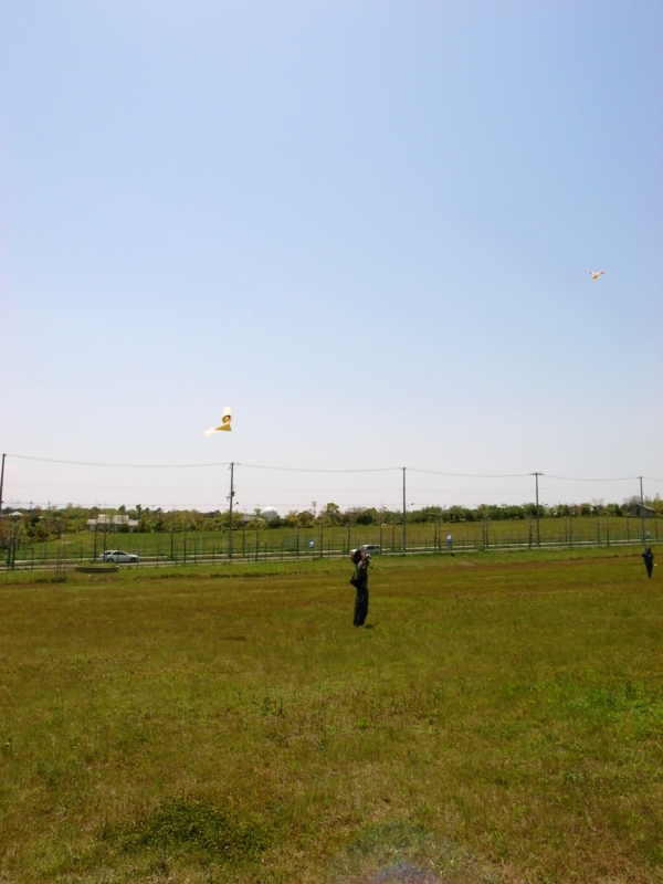 f:id:MAREOSIEV:20100429115817j:image