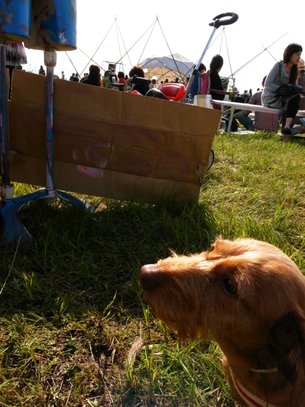 f:id:MAREOSIEV:20100429153954j:image