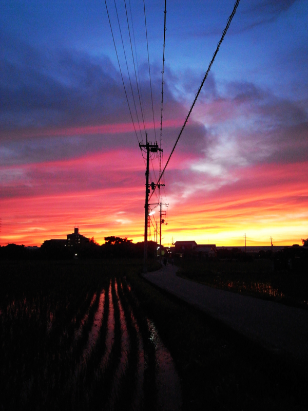f:id:MAREOSIEV:20100624193524j:image