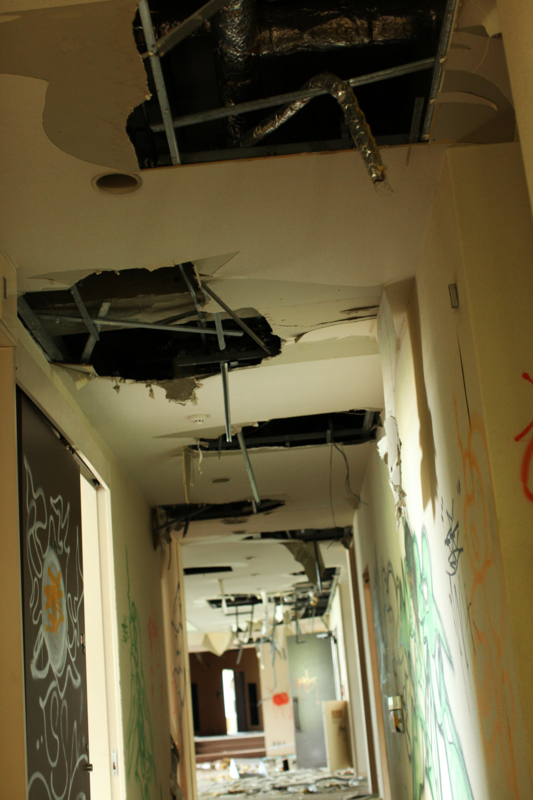 f:id:MAREOSIEV:20100816101004j:image