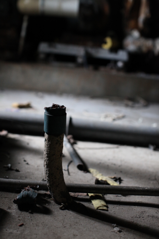 f:id:MAREOSIEV:20100816103122j:image
