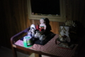 20100816132901