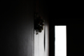 20100816133021