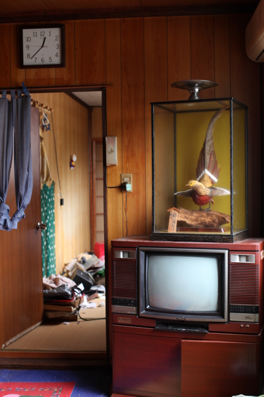 f:id:MAREOSIEV:20100816133333j:image f:id:MAREOSIEV:20100816133333j:image