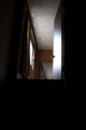 20100816133551