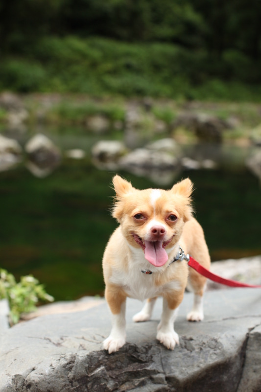 f:id:MAREOSIEV:20100816144627j:image