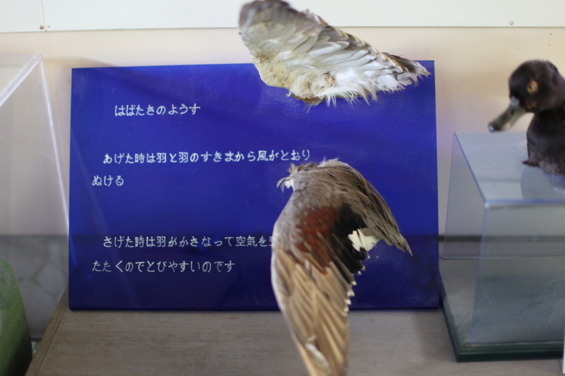 f:id:MAREOSIEV:20101219154849j:image