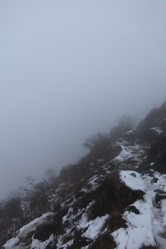 f:id:MAREOSIEV:20101220071913j:image
