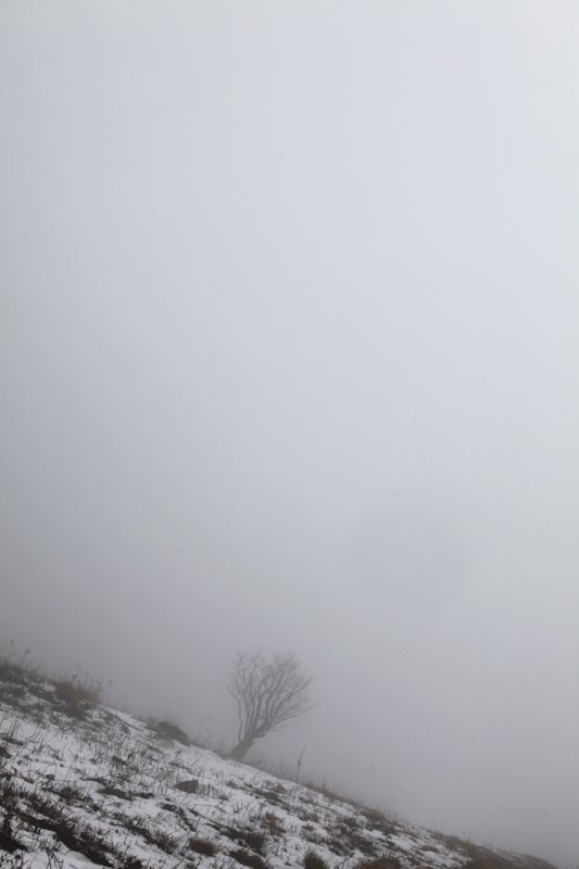 f:id:MAREOSIEV:20101220084459j:image