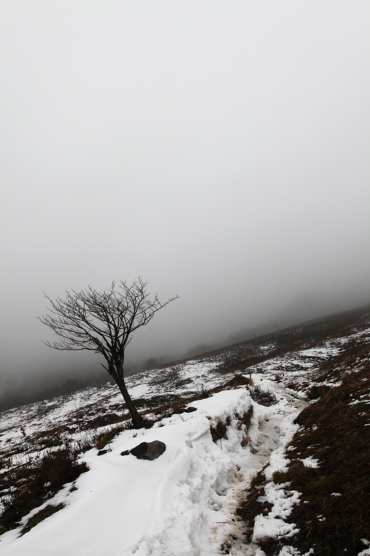 f:id:MAREOSIEV:20101220084636j:image
