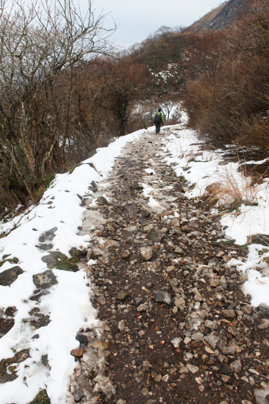 f:id:MAREOSIEV:20101220091834j:image
