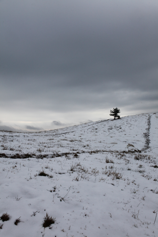 f:id:MAREOSIEV:20101220093025j:image