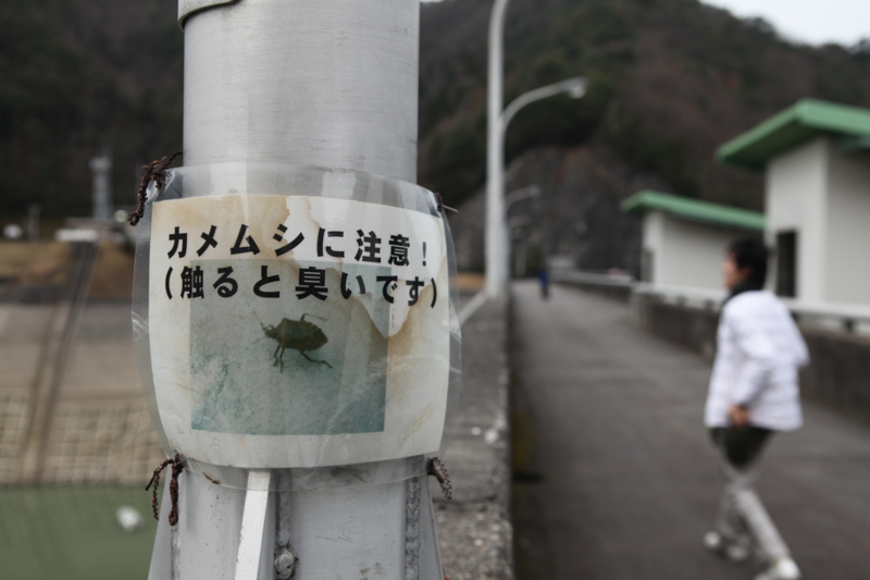 f:id:MAREOSIEV:20101230074227j:image f:id:MAREOSIEV:20101230074227j:image