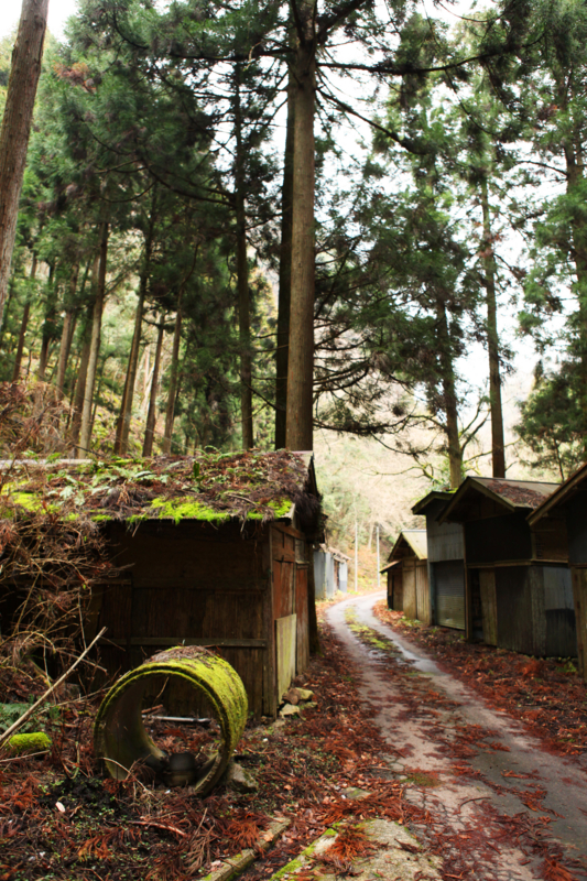 f:id:MAREOSIEV:20101230101440j:image f:id:MAREOSIEV:20101230101440j:image
