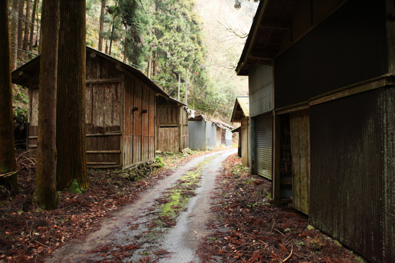 http://cdn-ak.f.st-hatena.com/images/fotolife/M/MAREOSIEV/20101230/20101230101518.jpg