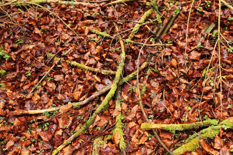 http://cdn-ak.f.st-hatena.com/images/fotolife/M/MAREOSIEV/20101230/20101230101900.jpg