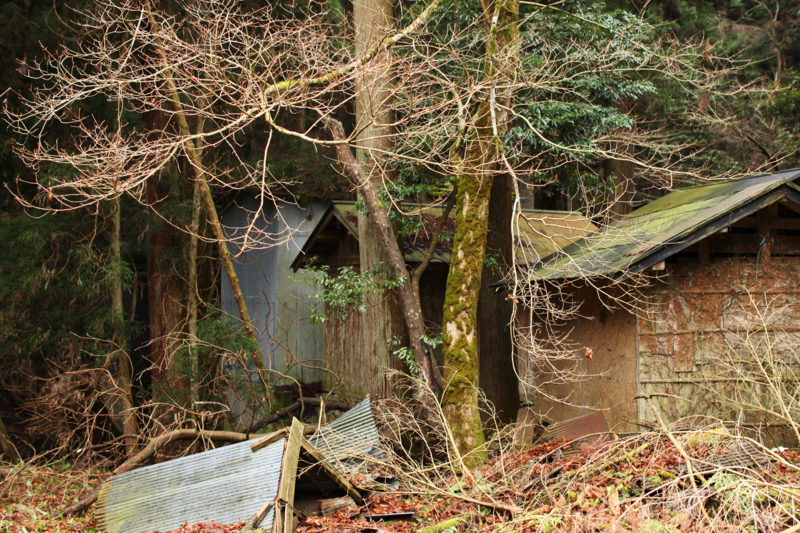 http://cdn-ak.f.st-hatena.com/images/fotolife/M/MAREOSIEV/20101230/20101230101956.jpg
