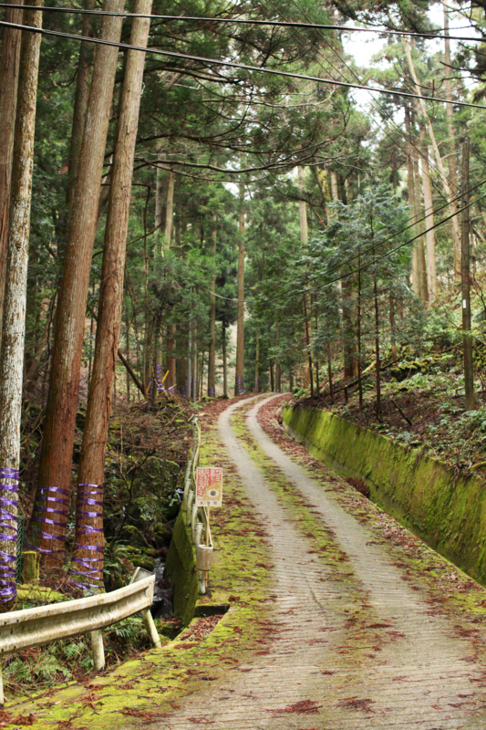 f:id:MAREOSIEV:20101230102257j:image f:id:MAREOSIEV:20101230102257j:image