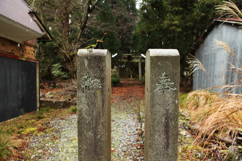 http://cdn-ak.f.st-hatena.com/images/fotolife/M/MAREOSIEV/20101230/20101230103026.jpg