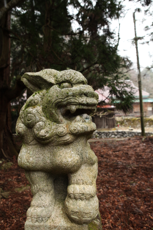 f:id:MAREOSIEV:20101230103058j:image f:id:MAREOSIEV:20101230103058j:image
