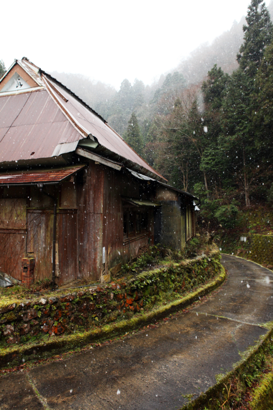 f:id:MAREOSIEV:20101230103428j:image f:id:MAREOSIEV:20101230103428j:image