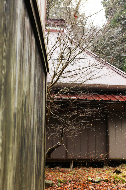 f:id:MAREOSIEV:20101230103727j:image f:id:MAREOSIEV:20101230103727j:image