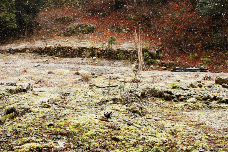http://cdn-ak.f.st-hatena.com/images/fotolife/M/MAREOSIEV/20101230/20101230104447.jpg